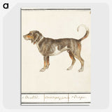 1-43_Anselmus-Boetius-de-Boodt_picture-crop