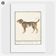 1-43_Anselmus-Boetius-de-Boodt_picture