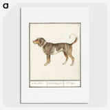1-43_Anselmus-Boetius-de-Boodt_picture