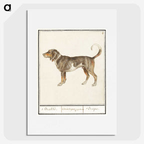 1-43_Anselmus-Boetius-de-Boodt_picture