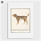Beagle or Braque - アンセルムス ボエティウス デ ブート Poster.