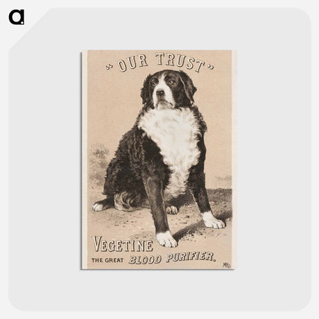 アートポストカード-Our Trust
 - ボストン公共図書館 Postcard.