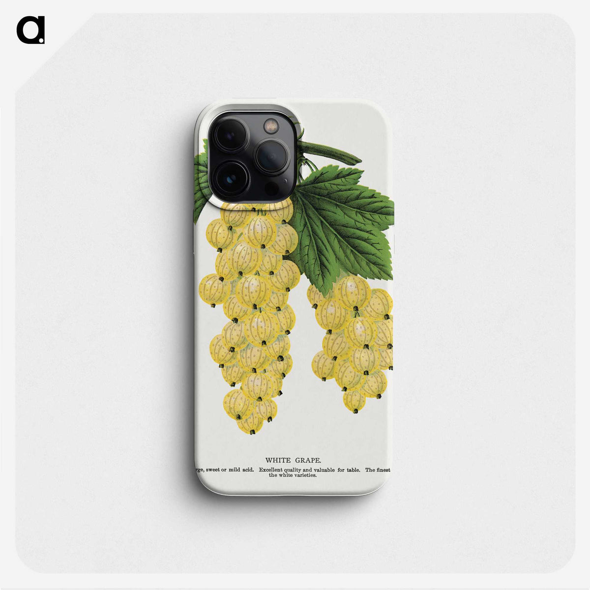 1-43_Botanical-Specimen-Plates_phone