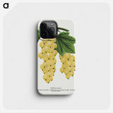 1-43_Botanical-Specimen-Plates_phone