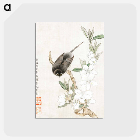 アートポストカード-Bird on Branch
 - クリーブランド美術館 Postcard.