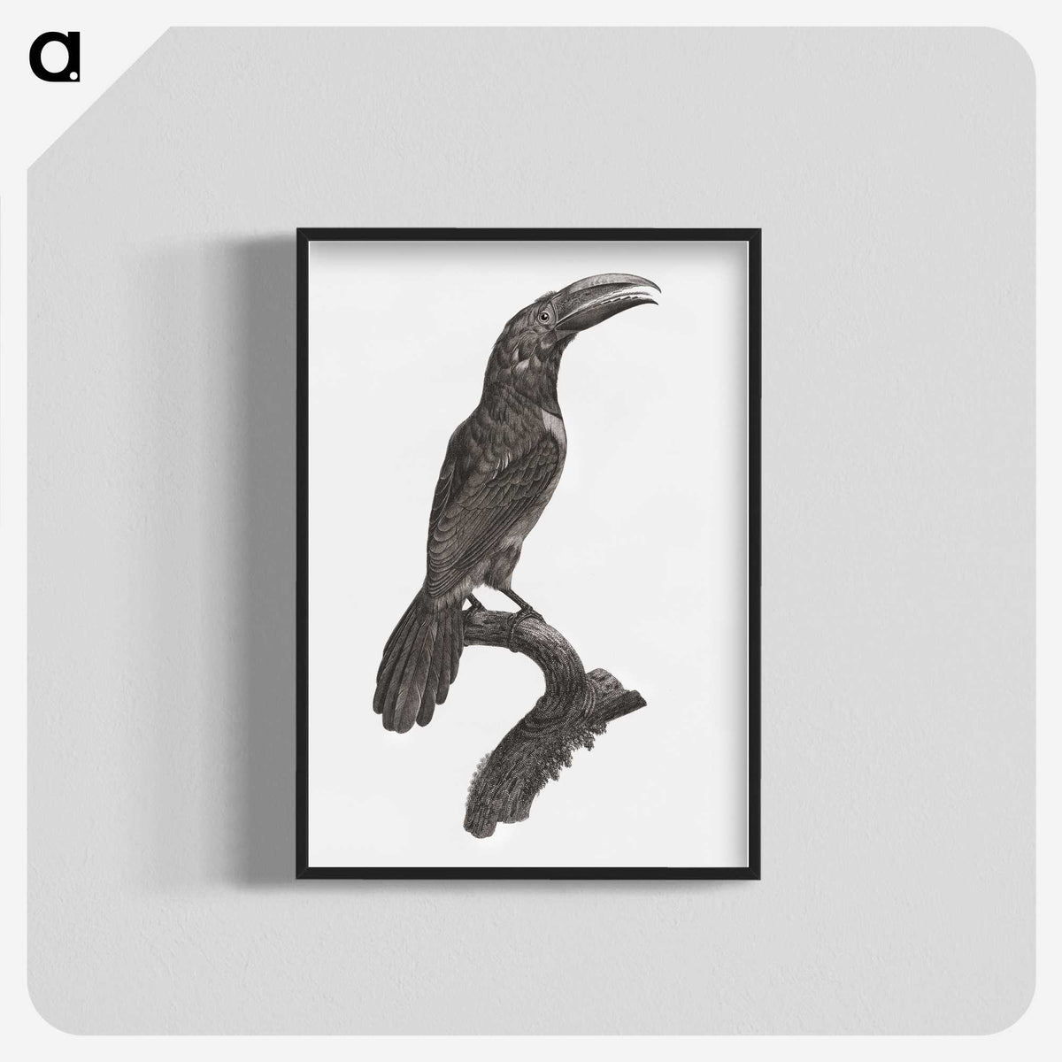 1-43_Des-Oiseaux-de-Paradis_blk-crop