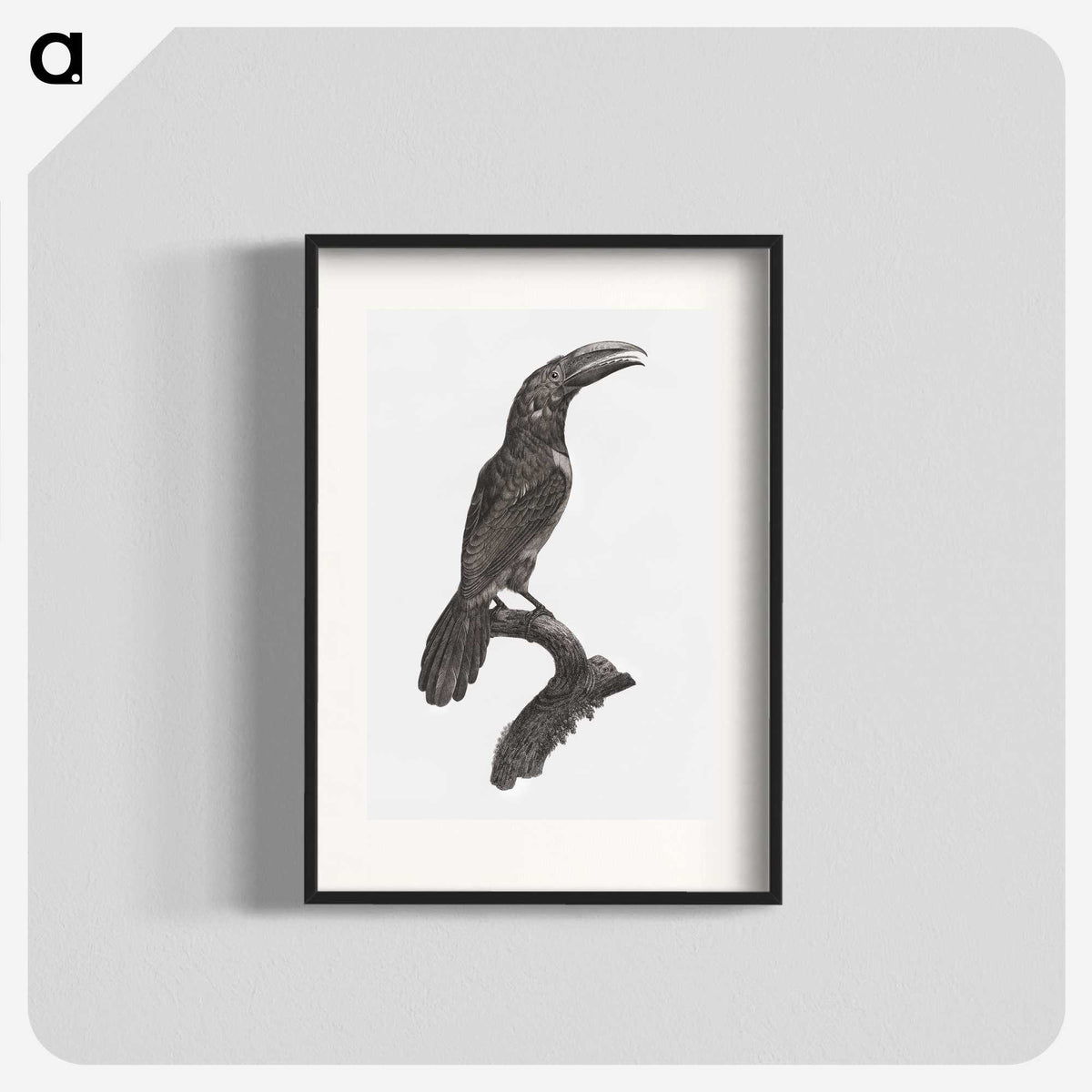 1-43_Des-Oiseaux-de-Paradis_blk