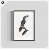 1-43_Des-Oiseaux-de-Paradis_blk