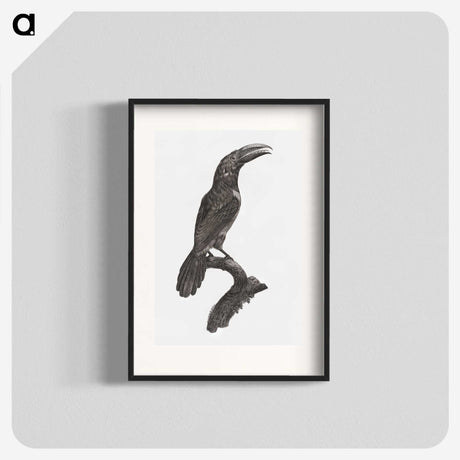 1-43_Des-Oiseaux-de-Paradis_blk