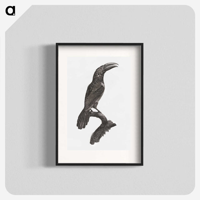 1-43_Des-Oiseaux-de-Paradis_blk