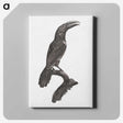 1-43_Des-Oiseaux-de-Paradis_canvas