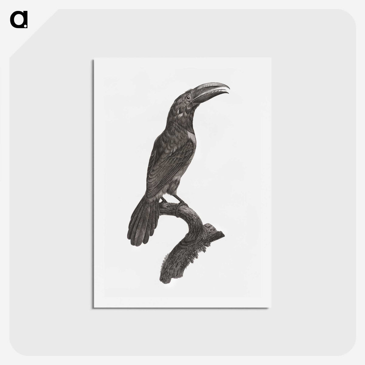 1-43_Des-Oiseaux-de-Paradis_hagaki