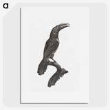1-43_Des-Oiseaux-de-Paradis_picture