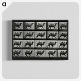 1-43_Eadweard-Muybridge_blk-crop