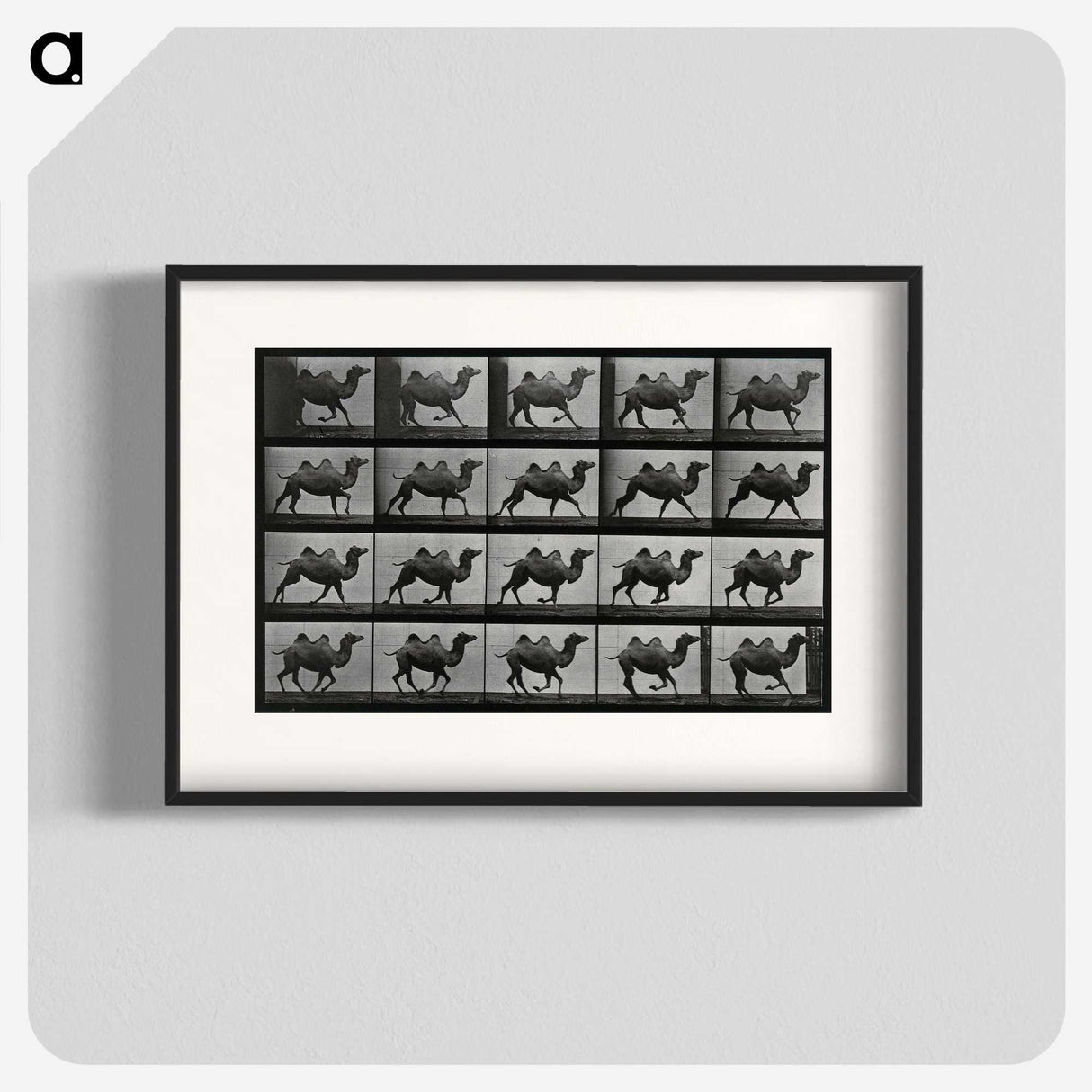 1-43_Eadweard-Muybridge_blk