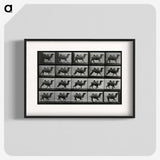 1-43_Eadweard-Muybridge_blk