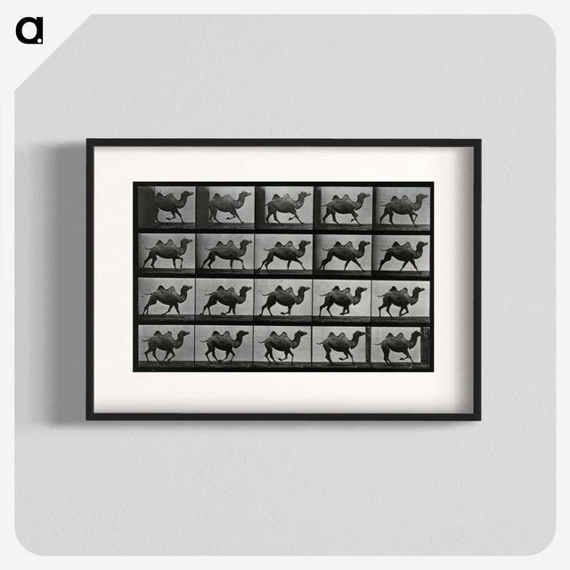 1-43_Eadweard-Muybridge_blk