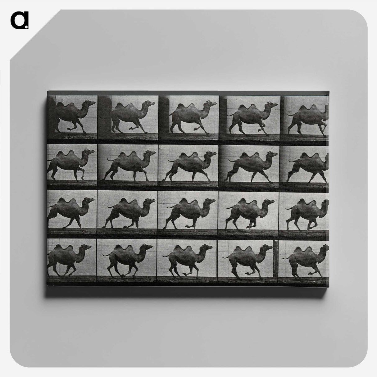 1-43_Eadweard-Muybridge_canvas
