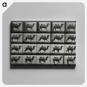 1-43_Eadweard-Muybridge_canvas