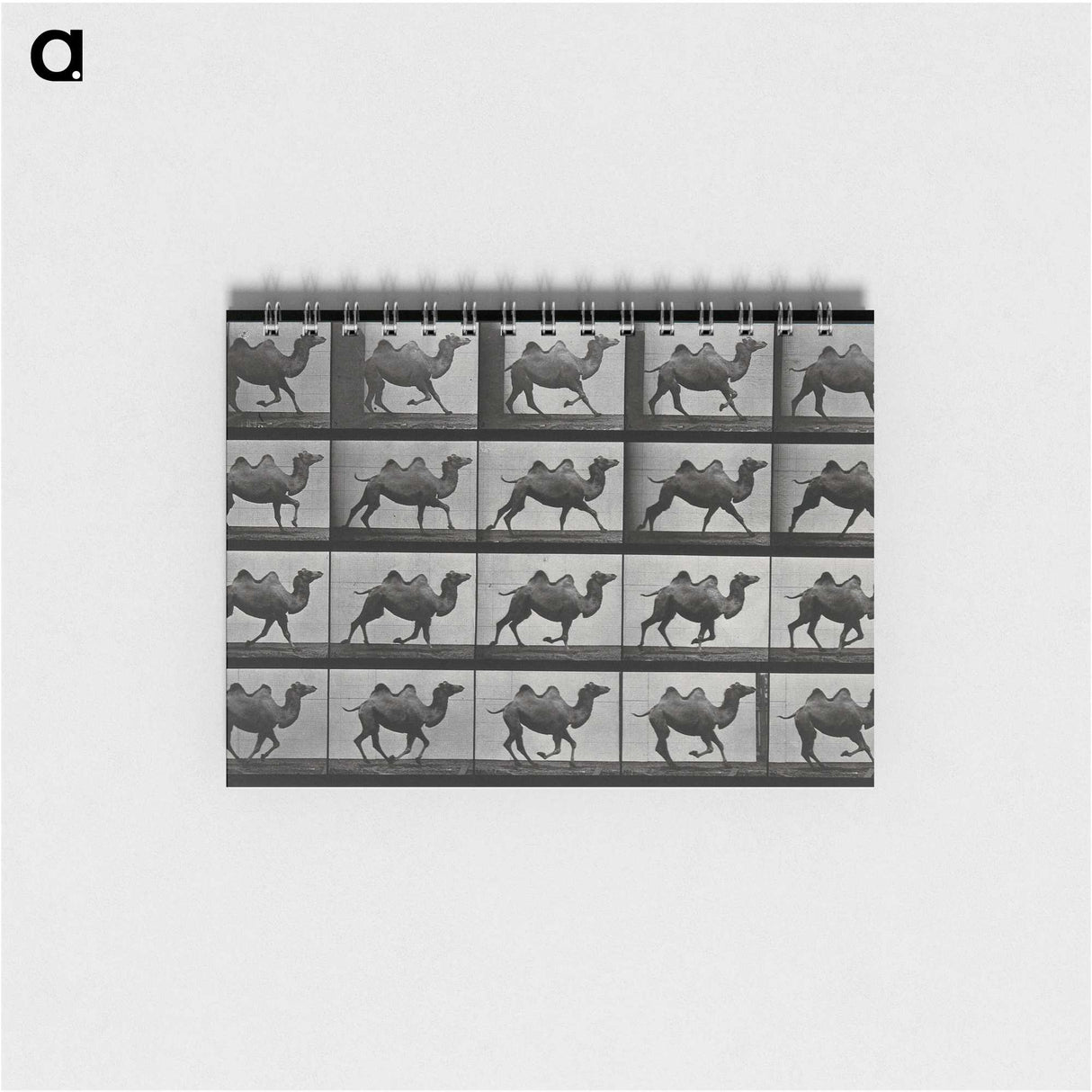 1-43_Eadweard-Muybridge_memo