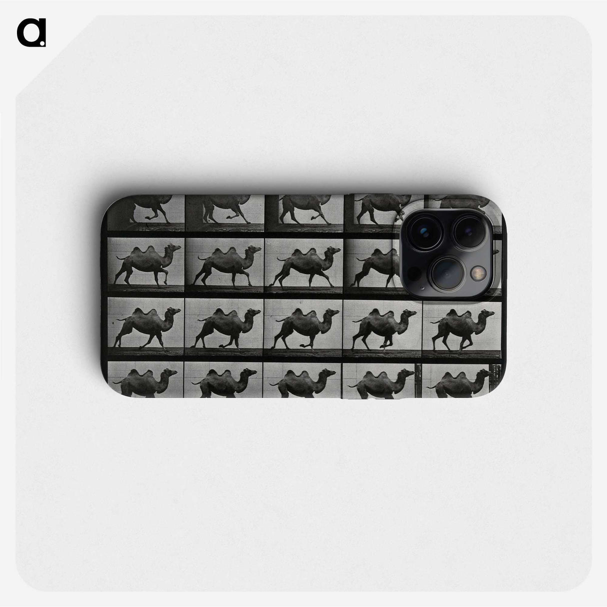 1-43_Eadweard-Muybridge_phone