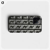 1-43_Eadweard-Muybridge_phone