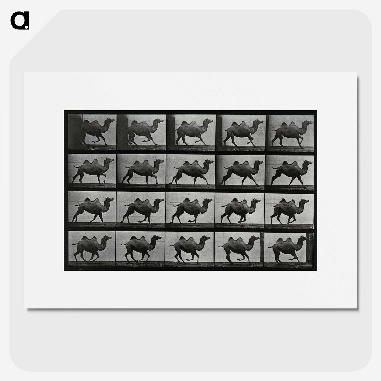 1-43_Eadweard-Muybridge_picture