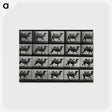 1-43_Eadweard-Muybridge_postcard