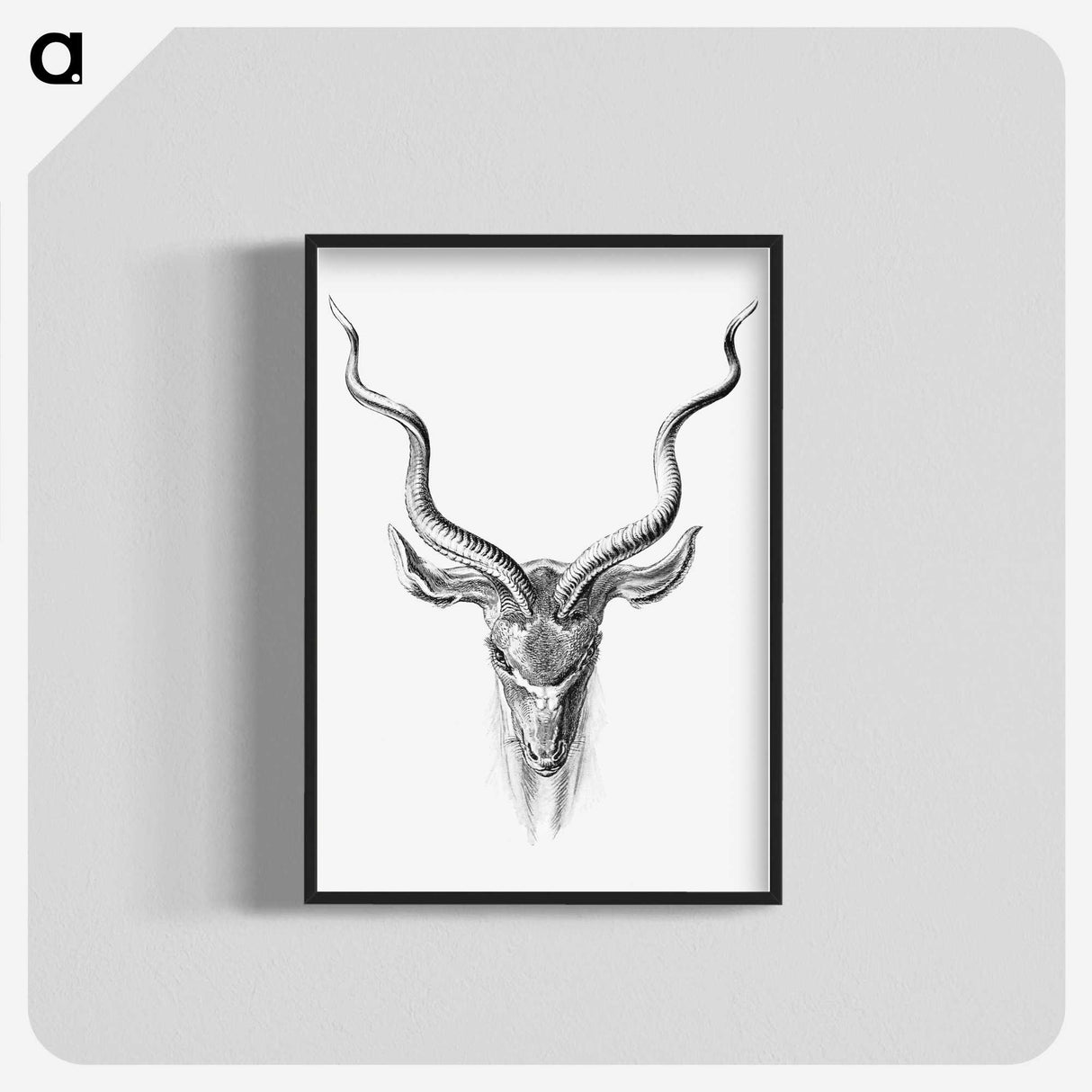 1-43_Ernst-Haeckel_blk-crop