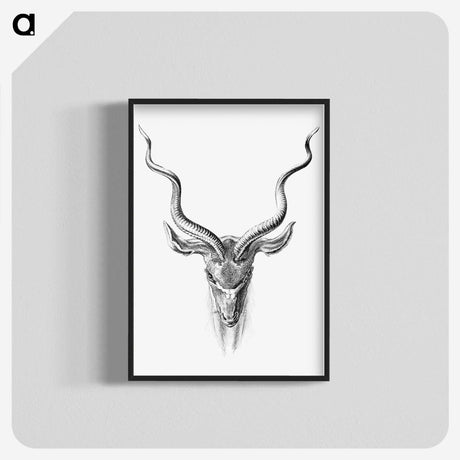 1-43_Ernst-Haeckel_blk-crop
