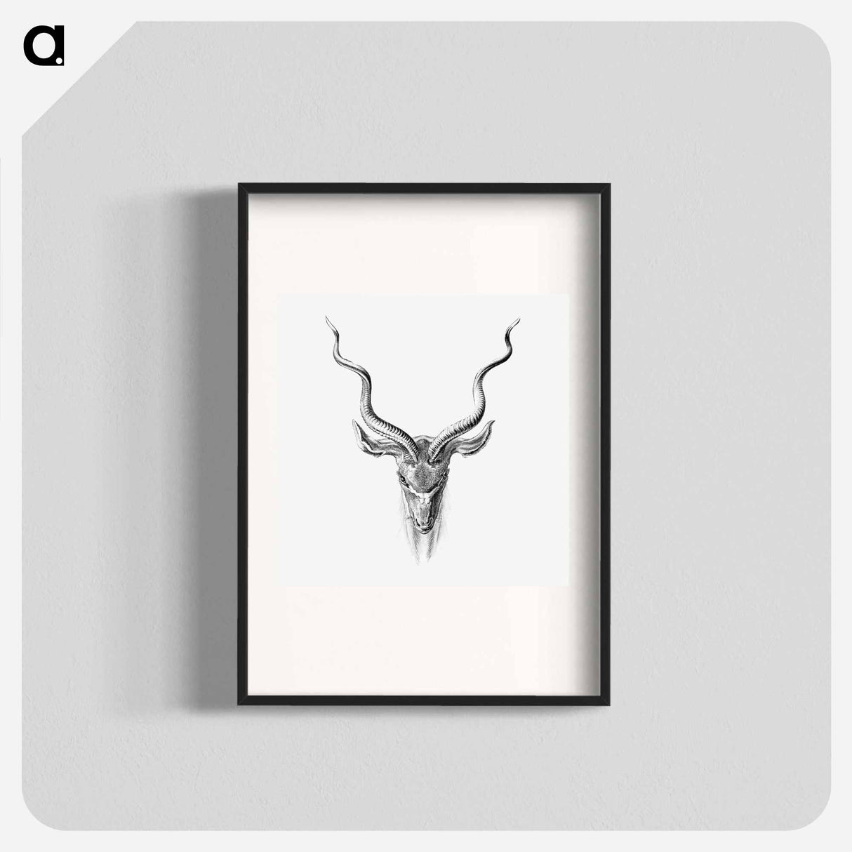 Vintage antelope wildlife illustration - エルンスト ヘッケル Poster.