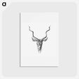 アートポストカード-Vintage antelope wildlife illustration - エルンスト ヘッケル Postcard.