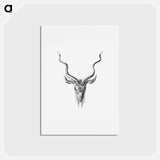 アートポストカード-Vintage antelope wildlife illustration - エルンスト ヘッケル Postcard.