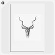 1-43_Ernst-Haeckel_picture