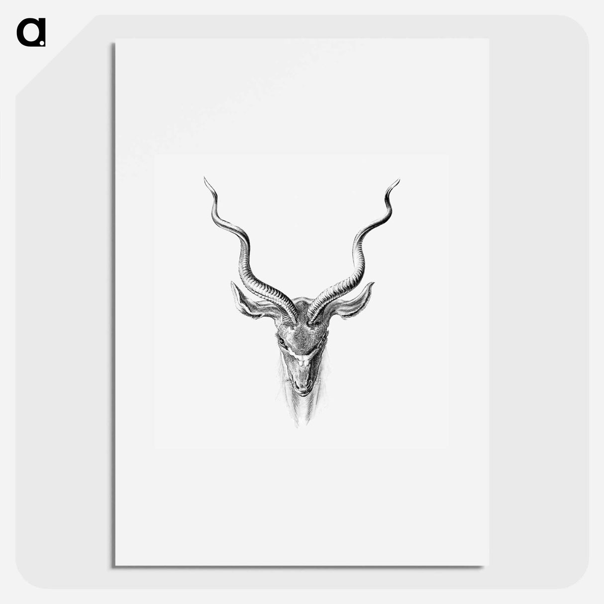 Vintage antelope wildlife illustration - エルンスト ヘッケル Poster.