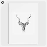 Vintage antelope wildlife illustration - エルンスト ヘッケル Poster.
