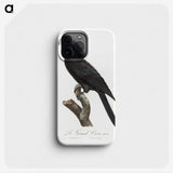 1-43_Francois-Levaillant_phone