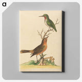 1-43_George-Edwards_canvas