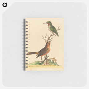 アートメモ帳-Green Bird with Red Throat and Brown and Orange Bird
 - ジョージ エドワーズ Memo.