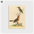 1-43_George-Edwards_postcard