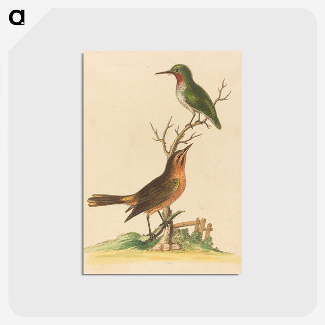 1-43_George-Edwards_postcard