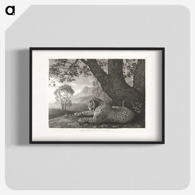 1-43_George-Stubbs_blk