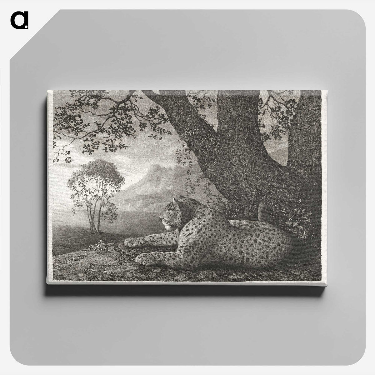 1-43_George-Stubbs_canvas