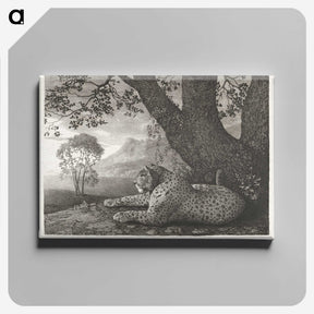 1-43_George-Stubbs_canvas