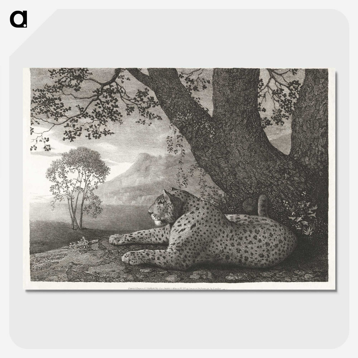 1-43_George-Stubbs_picture-crop