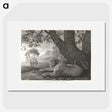 1-43_George-Stubbs_picture