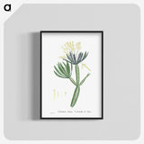 1-43_Histoire-des-Plantes-Grasses_blk-crop
