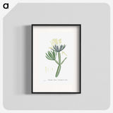 1-43_Histoire-des-Plantes-Grasses_blk