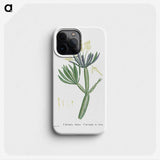 1-43_Histoire-des-Plantes-Grasses_phone
