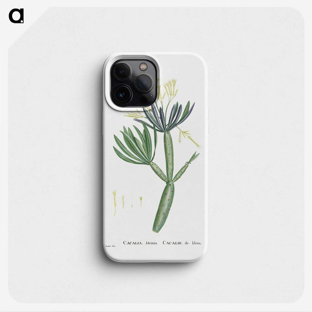 1-43_Histoire-des-Plantes-Grasses_phone